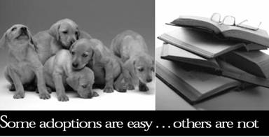 Textbook Adoption Dogs